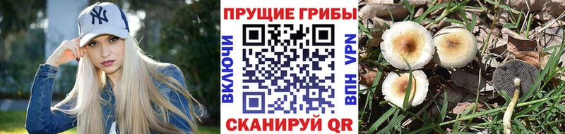 мега онион  Биробиджан  Псилоцибиновые грибы прущие грибы 